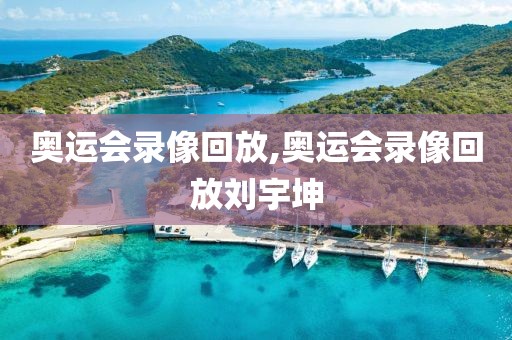 奥运会录像回放,奥运会录像回放刘宇坤