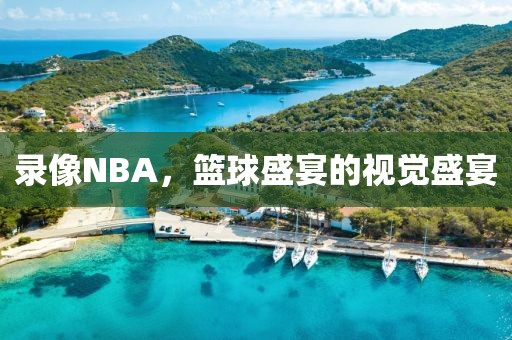 录像NBA，篮球盛宴的视觉盛宴  NBA录像 篮球盛宴 第2张