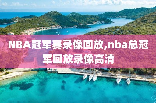 NBA冠军赛录像回放,nba总冠军回放录像高清  NBA冠军赛录像回放 第1张