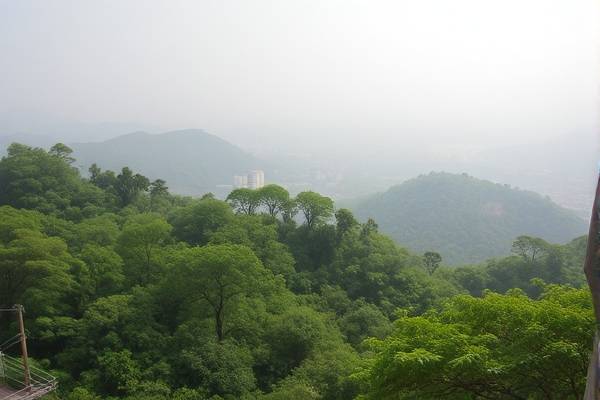 比赛录像,张帅比赛录像  比赛录像 第2张